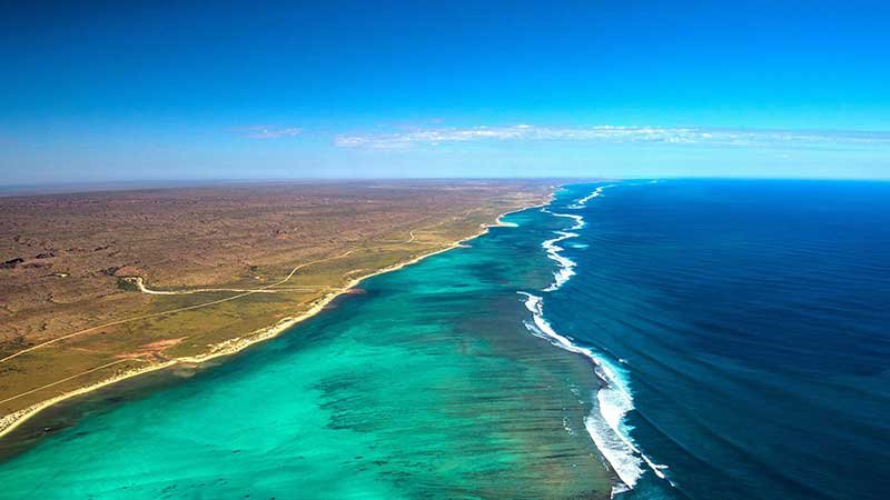 The Spectacular Marine Life Of Ningaloo Reef Visit Australia