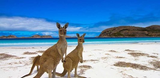 Kangaroo-Island-Australia